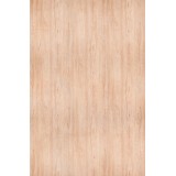 MDF ARAUCO CARVALHO MEL SONOMA